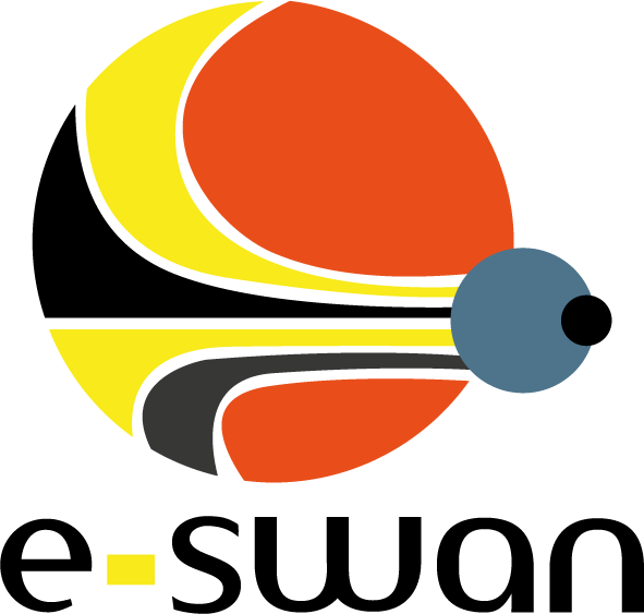 E-SWAN Logo